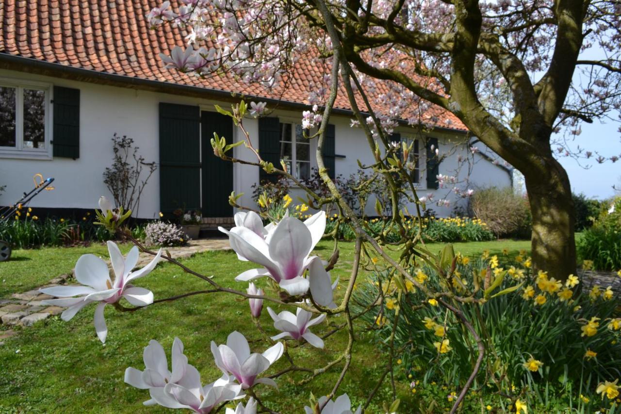 Licques La Longere D'Ecottes B&B 외부 사진